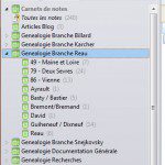 Organisation, work in progress