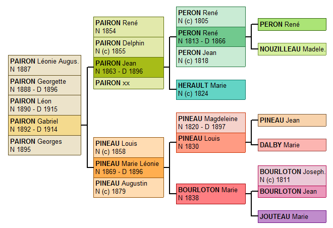 pairon_gabriel_arbre