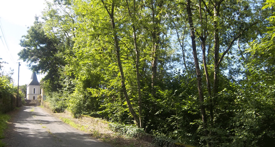 Latillé, chemin de la Jupetière - aout 2013 - collection privée