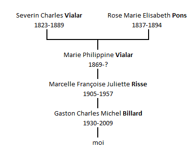 Arbre de descendance simplifié de Séverin Vialar et Rose Pons