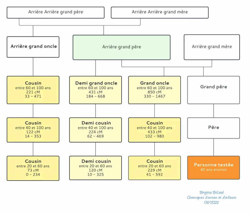 schema de correspondances ADN 