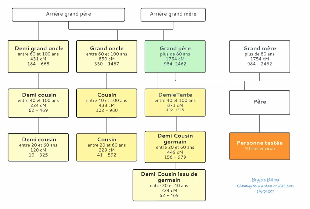 Schema de correspondances ADN