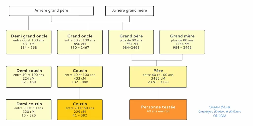 Schema de correspondance ADN