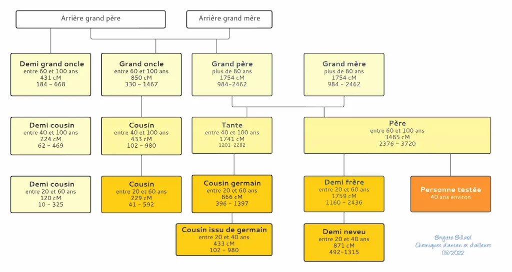 Schema de correspondances ADN